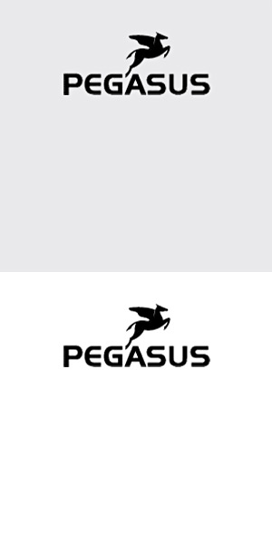 Pegasus Fahrräder